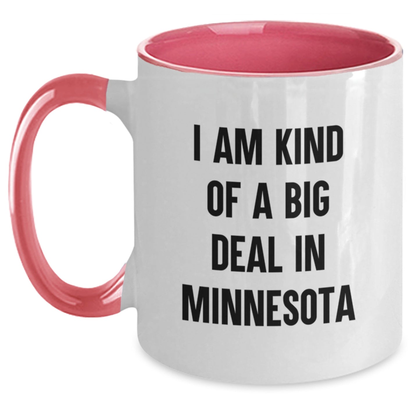 Minnesota Humor Gifts for Men from Friends, Funny Quote Two Tone Coffee Mug for Graduation - Main