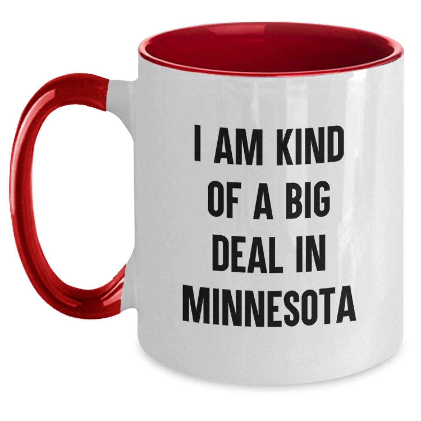 Minnesota Humor Gifts for Men from Friends, Funny Quote Two Tone Coffee Mug for Graduation - Main