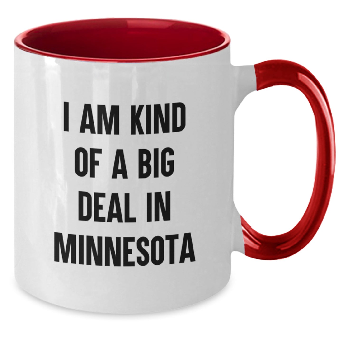 Minnesota Humor Gifts for Men from Friends, Funny Quote Two Tone Coffee Mug for Graduation - Additional