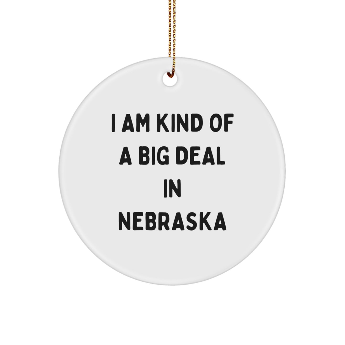 I Am Kind Of A Prime Selection In Nebraska Circle Ornament, Funny Quote Gifts from Nebraska, Gifts for Nebraska, Christmas Unique Gifts - Image 1