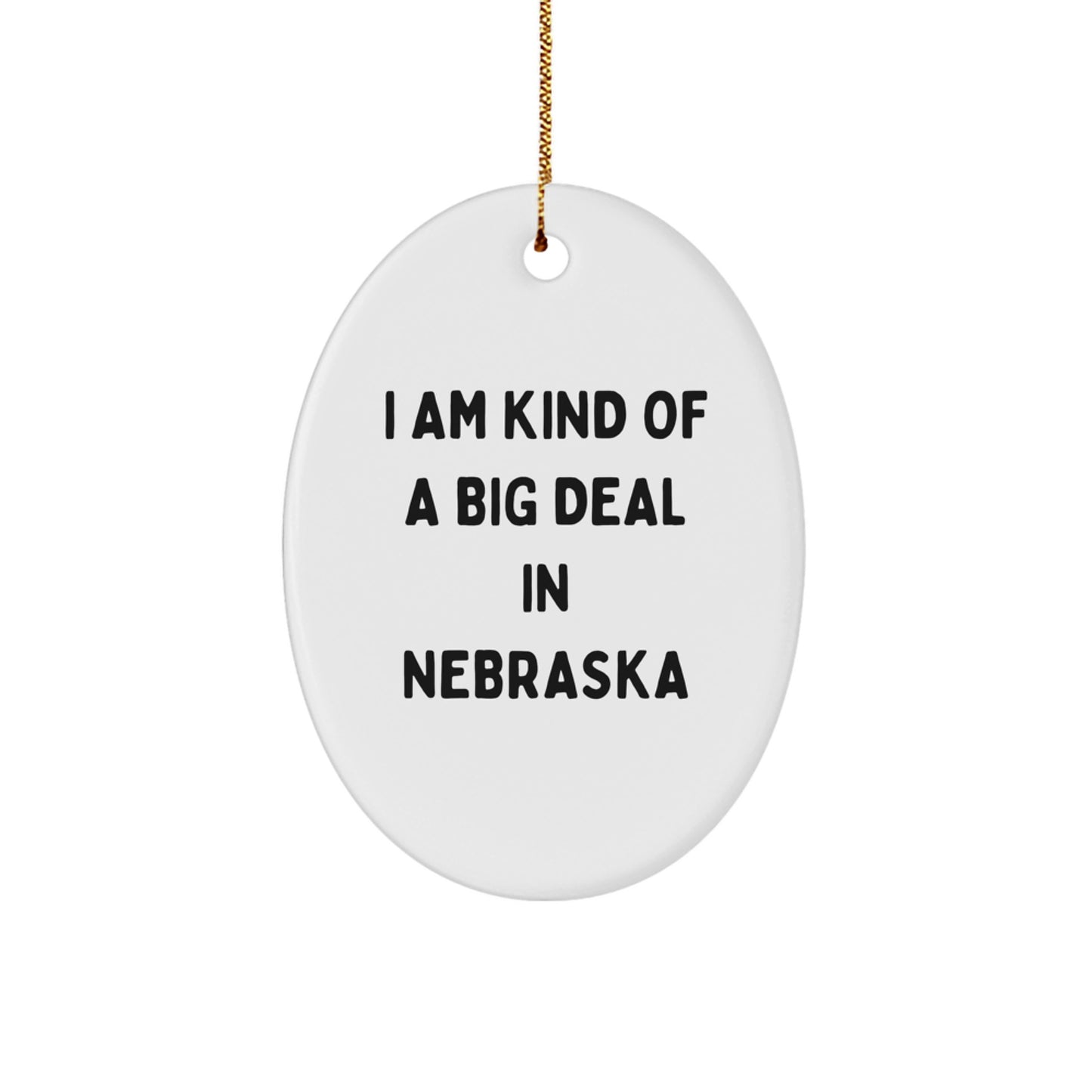 I Am Kind of a Prime Selection in Nebraska Oval Ornament, Funny Gifts for Friends, Family, and Coworkers in Nebraska, Christmas Unique Gifts from Men, Women - Image 1