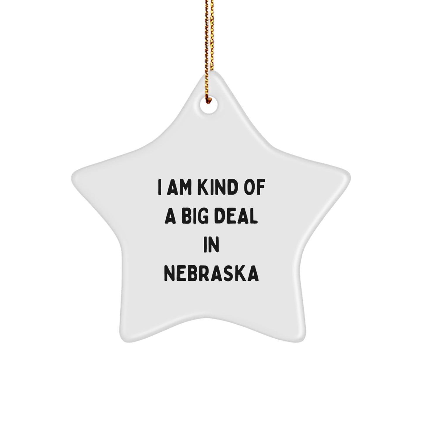 Funny Nebraska Gifts, 'I Am Kind Of A Prime Selection In Nebraska' Star Ornament for Men, Women, Friends, Coworkers, Family, Christmas, Unique Gifts from Nebraska - Image 1