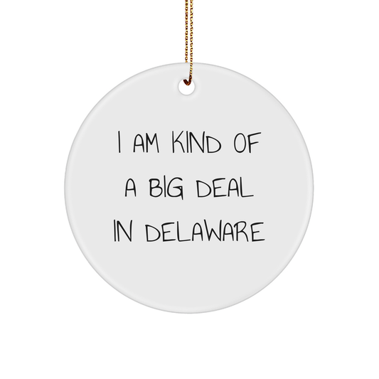 I Am Kind Of A Prime Selection In Delaware Circle Ornament Gifts from Friends to Delaware Friends for Christmas - Image 1