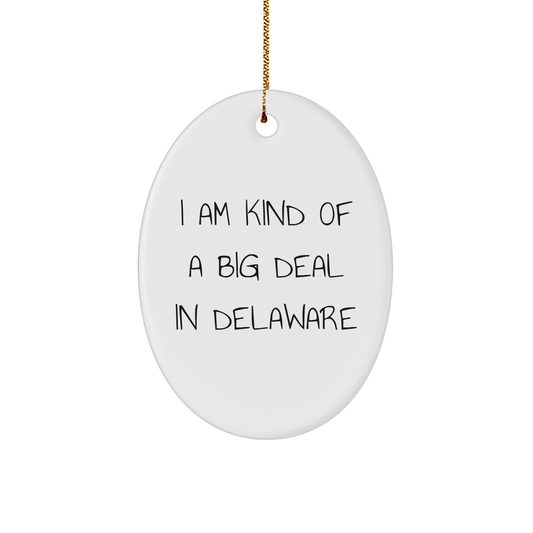 Delaware Oval Ornament Gifts from Men to Friends - 'I Am Kind Of A Prime Selection In Delaware' - White Oval Ornament for Christmas Decorations - Image 1