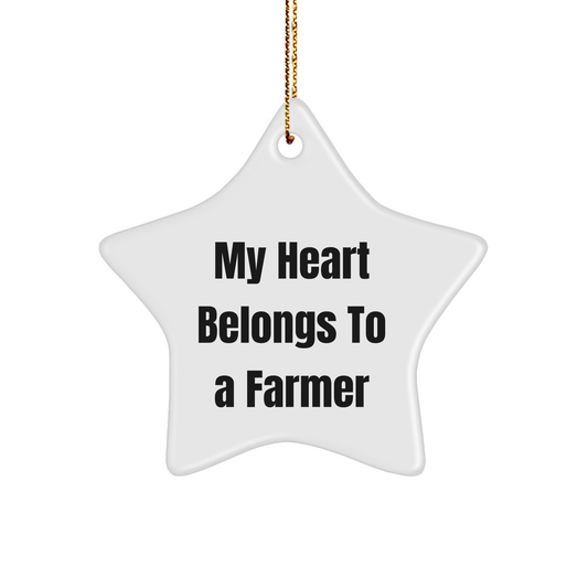 'My Heart Belongs To A Farmer' Farmer Gifts from Friends to Family - Unique Star Ornament for Christmas - Image 1