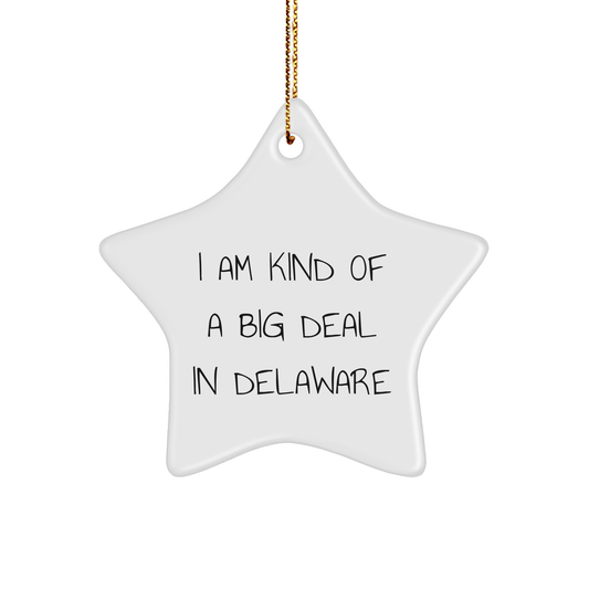 Delaware Star Ornament, I Am Kind of a Prime Selection Gifts from Family for Men, Women, Friends, or Coworkers, Christmas Unique Presents - Image 1