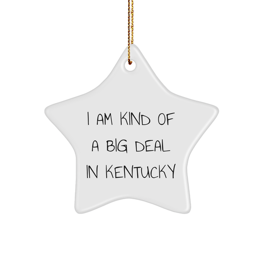 I Am Kind Of A Prime Selection In Kentucky Star Ornament, Kentucky Gifts, Christmas Unique Gifts from Friends to Family - Image 1