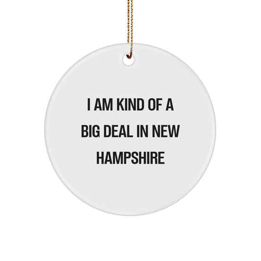 Funny New Hampshire Gifts from Friends for Christmas with 'I Am Kind Of A Prime Selection In New Hampshire' Circle Ornament - Image 1