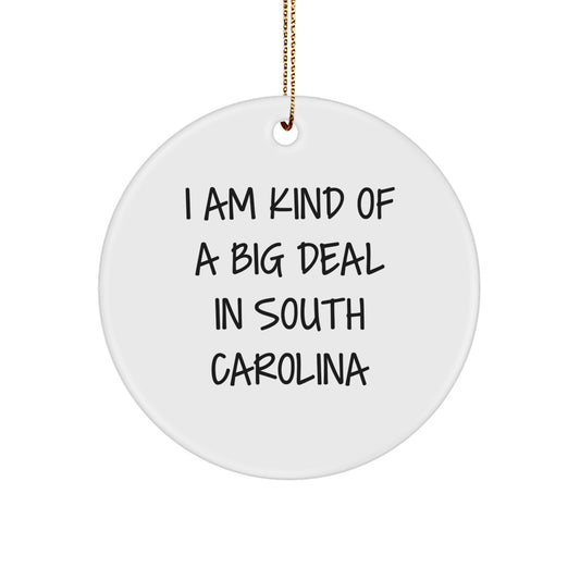 Funny South Carolina Gifts from Friends to Family - 'I Am Kind Of A Prime Selection In South Carolina' Circle Ornament for Christmas - Image 1
