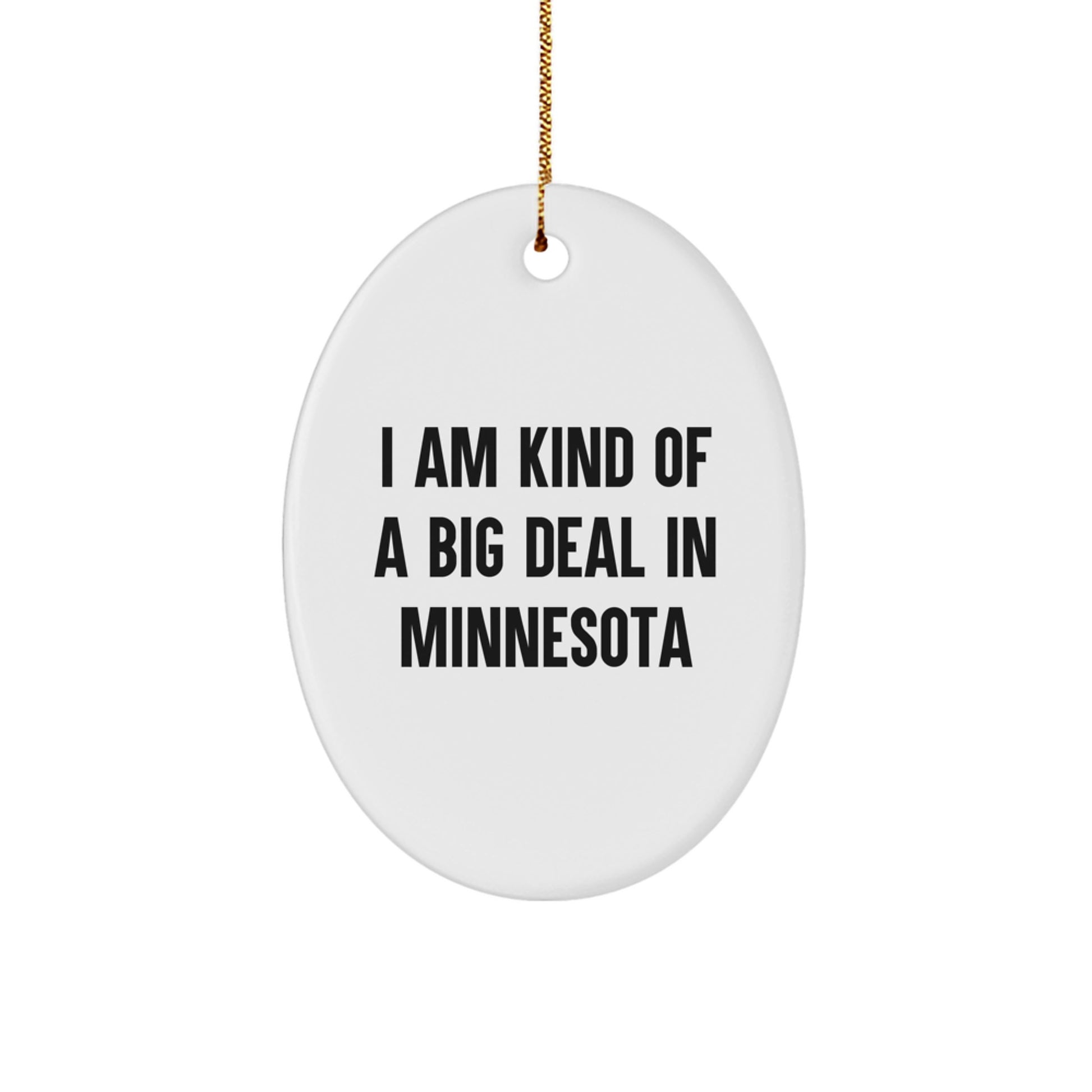 Funny Minnesota Oval Ornament Gifts from Friends for Friends I Am Kind Of A Prime Selection In Minnesota Christmas Unique Gifts - Image 1