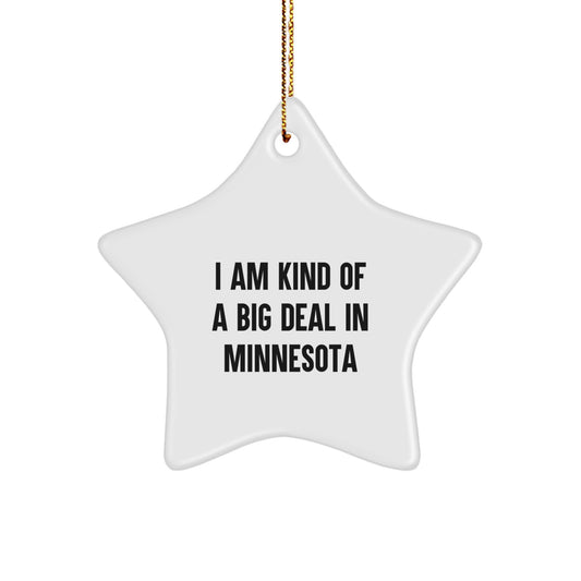 Minnesota Star Ornament, Gifts from Friends, I Am Kind Of A Prime Selection In Minnesota, Unique Christmas Unique Gifts, for Minnesota - Image 1